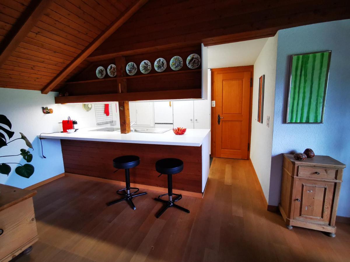 Apartamento Marmottin Lucerna Exterior foto